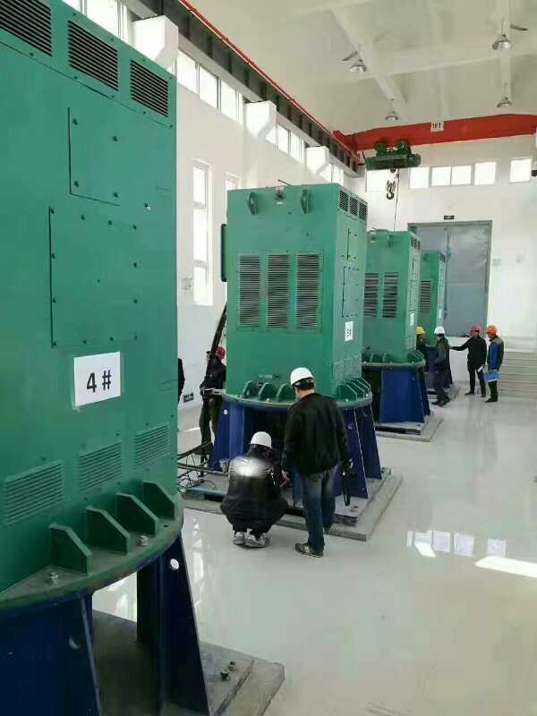YKS5601-2某污水处理厂使用我厂的立式高压电机安装现场