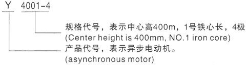 西安泰富西玛Y系列(H355-1000)高压YKS5601-2三相异步电机型号说明