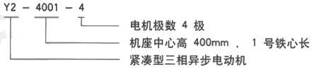 YR系列(H355-1000)高压YKS5601-2三相异步电机西安西玛电机型号说明